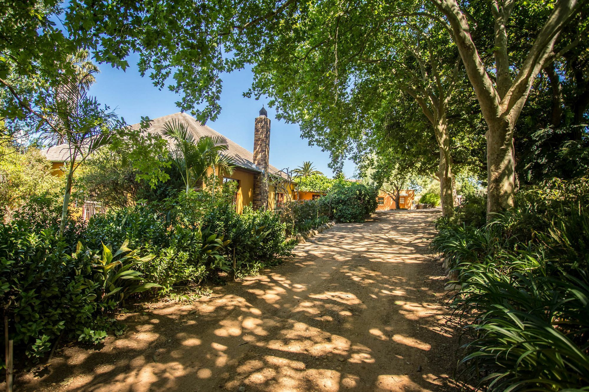 Dirtopia Trail Lodge Στέλενμπος Εξωτερικό φωτογραφία